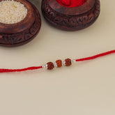 Three Rudraksha With Silver Beads Rakhi